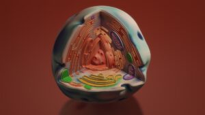 EL OXIGENO CELULAR Y EL CDS POR ANDREAS KALCKER