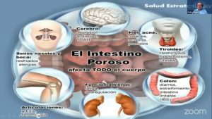 INTESTINO PERMEABLE Y EL CDS POR EL DR PEDRO CHAVEZ