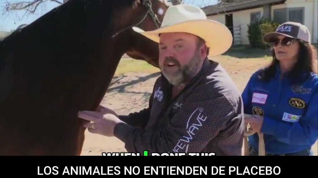 LOS ANIMALES NO ENTIENDEN DE PLACEBO