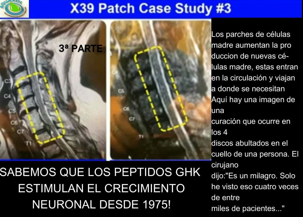 LA CIENCIA EN LOS PARCHES DE LIFEWAVE POR EL Dr Andrew Rostenberg (3ª Parte)